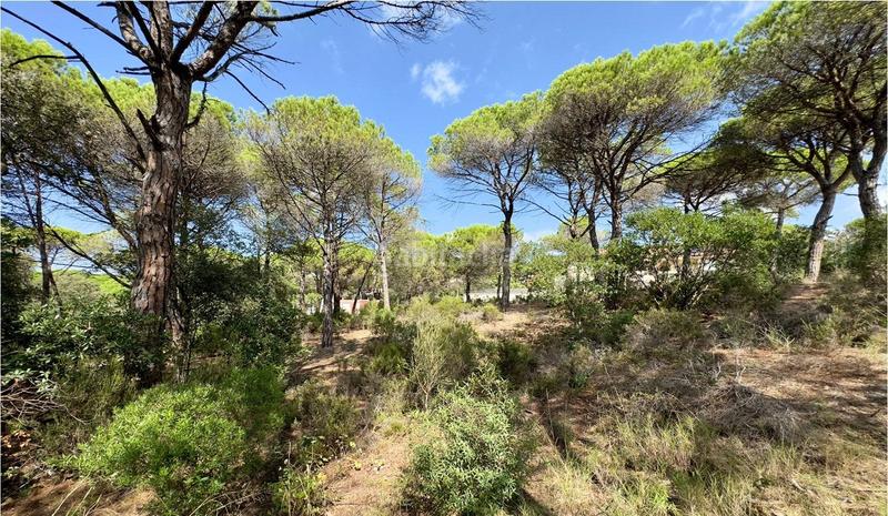 Foto d6e453c8-1485-431b-b759-89aeef381ec4. Terreno residenziale in La Goba Vidreres