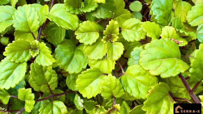 Foto f90ee961-8c6a-48fb-ac80-3fd1d7c0dc15. Casa a schiera con riscaldamento parcheggio piscina in Malgrat de Mar