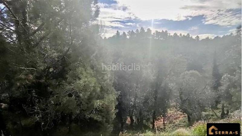 Foto 6ffc86d0-612c-4e43-ba87-71f28c90857c. Terreno residenziale in terrabrava - Tordera parc Tordera