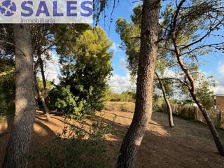 Terreno residencial en El Vedat - Santa Apolonia. Se vende parcela en santa apolonia, vedat de torrent