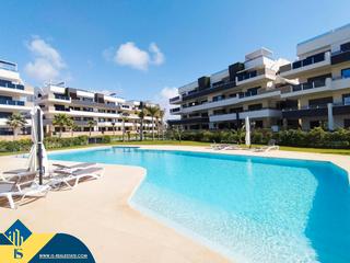 Apartamento en Playa Flamenca. Apartamento con piscina compartida en orihuela costa, provincia