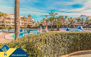 Apartamento en Zona los Frutales. Apartamento con piscina compartida en torrevieja, provincia de a