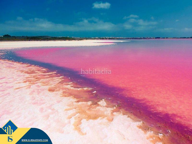 Foto 4a41ac33-a848-4f67-81a3-5c120eab5a38. Apartament amb calefacció piscina a Parque de las Naciones Torrevieja