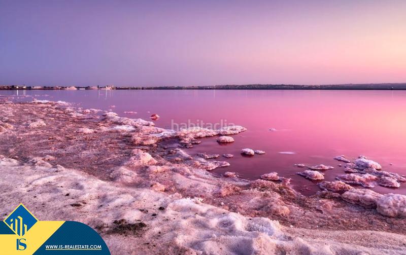 Foto 8c6b3aaf-9f67-4261-8114-0a8b1e7a06a9. Apartament amb calefacció piscina a Parque de las Naciones Torrevieja