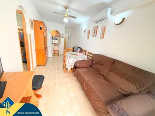 Apartamento en Antonio Machado. Apartamento con piscina compartida en torrevieja, provincia de a