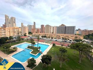 Pis a Juzgados - Plaza de Toros. Apartamento con piscina compartida en benidorm, provincia de ali