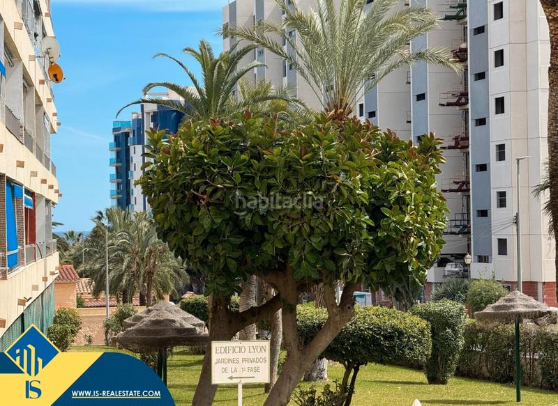 Foto 064fb850-9c1b-410f-ba00-95ab49c5605b. Piccolo appartamento con riscaldamento piscina in Torrevieja
