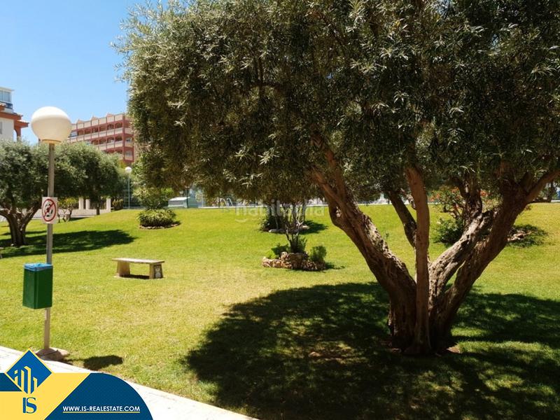 Foto 169fea6f-c36e-4f1d-b29f-4510ea88d837. Piccolo appartamento con riscaldamento piscina in Torrevieja