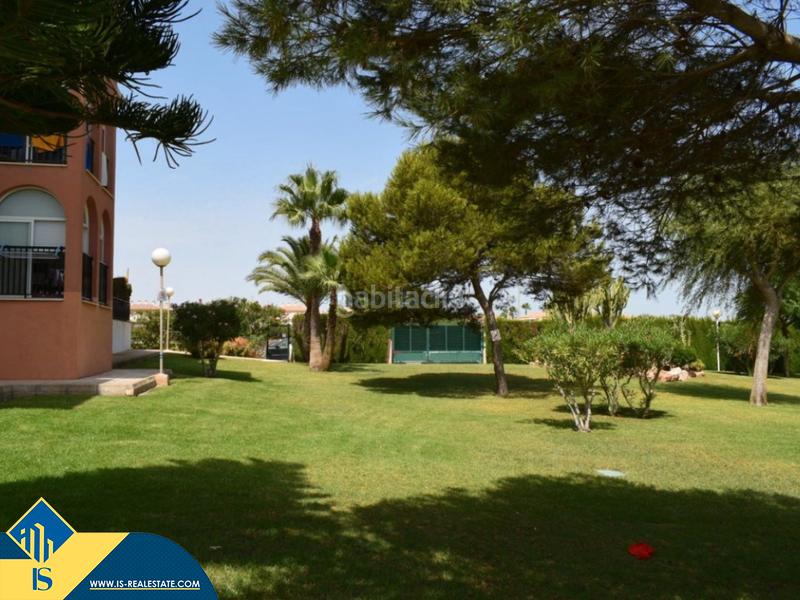 Foto 57109d36-b96c-480d-a6d6-9cb9ba229334. Piccolo appartamento con riscaldamento piscina in Torrevieja