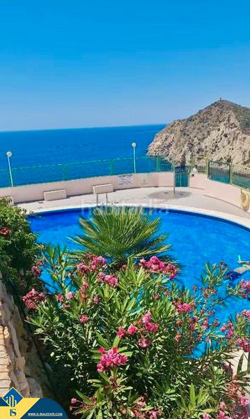 Foto 52265346-805b-4545-80bb-7ede6071e5fa. Apartament amb calefacció aparcament piscina a Playa Poniente Benidorm