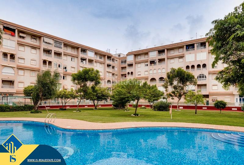 Foto 77c0500b-88db-4d25-aa43-101ad1a0288b. Apartamento  renovado con piscina comunitaria, en la provincia de alicante, en la ciudad . 1 habitación | 55 m² | 700 en Torrevieja