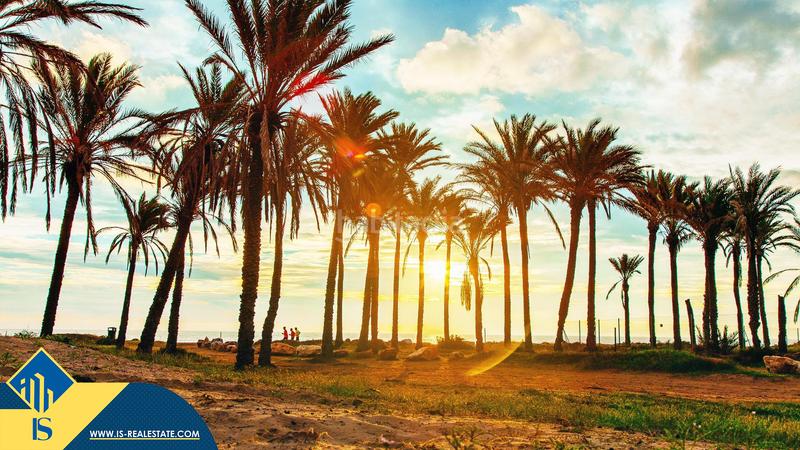 Foto 6037bc50-0b6e-4833-a811-210d550c753e. Appartamento in Playa de los Náufragos Torrevieja