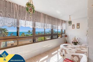 Piso en Los Europeos. Apartamento con terraza, en la provincia de alicante, en torrevi