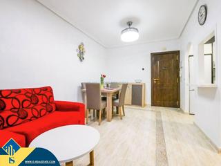 Appartement à Avenida Habaneras - Curva de Palangre. Apartamento con terraza, en la provincia de alicante, en la ciud