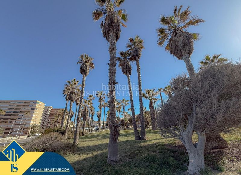 Foto 0e9019b6-f37a-41e5-8a35-6faac0af5f02. Àtic amb calefacció a Miramar - Torre del Moro Torrevieja