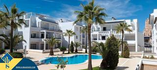 Appartamento in Los Balcones-Los Altos. Apartamento con piscina comunitaria, provincia de alicante, torr