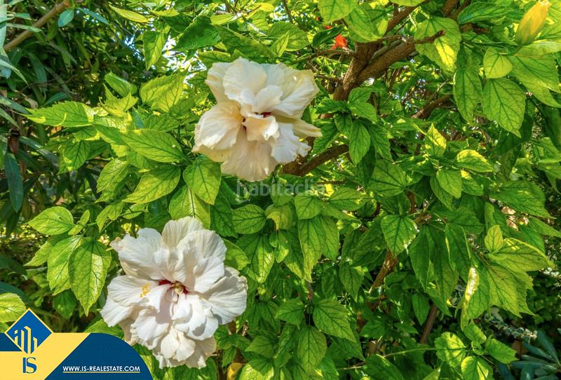 Foto c95452d5-5dc8-481c-a65a-6780a767cce5. Casa amb calefacció piscina a Parque Acuático - Sector 25 Torrevieja