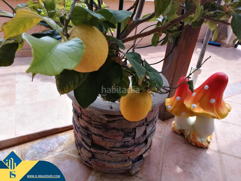 Foto e5d36351-cd81-4d51-ad8b-af78b945f017. House with pool in Villamartín-Las Filipinas Orihuela