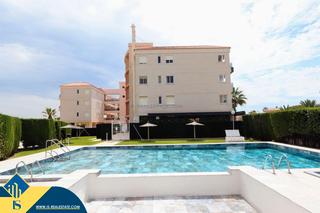 Pis a Playa Flamenca. Apartamentos con piscina comunitaria, en la provincia de alicant