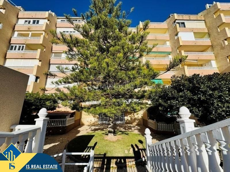 Foto c573a2dd-e1e2-4ced-afad-f22da77ccb0d. Àtic amb aparcament piscina a Cañada del Molino Torrevieja