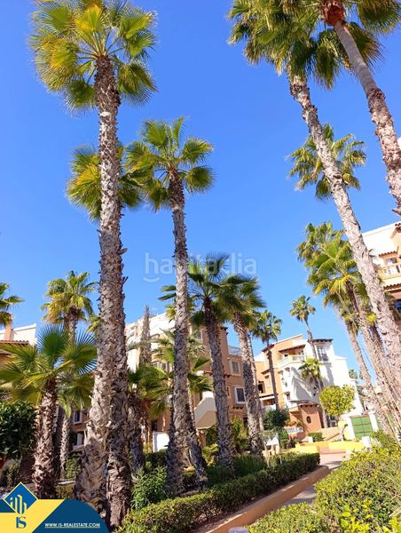 Foto d3adee2c-031c-4c6f-9869-c48c4119b668. Pis amb piscina a Zona los Frutales Torrevieja