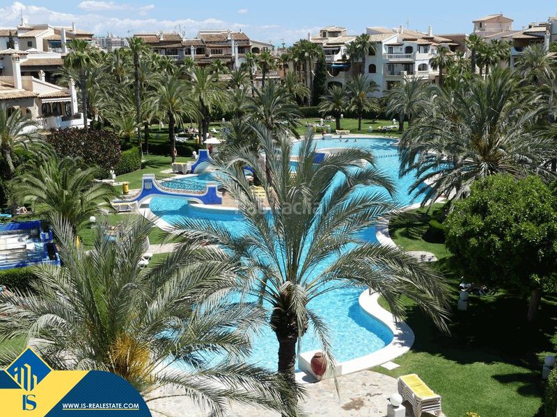 Foto f1875349-a2a7-4cc8-96c4-1d5ac2dc7611. Pis amb piscina a Zona los Frutales Torrevieja
