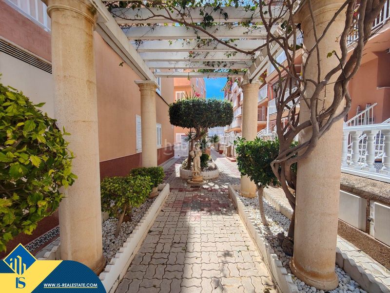 Foto b3c1d3f7-8422-4fe0-ab3a-22cb15b0b4fa. Àtic amb aparcament piscina a Gaspar Perelló Torrevieja