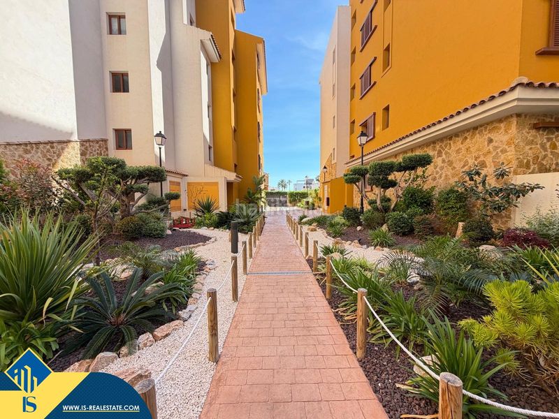 Foto 65b198b5-a0e1-4523-bc39-b146e95ed0d9. Àtic amb aparcament piscina a Punta Prima Torrevieja