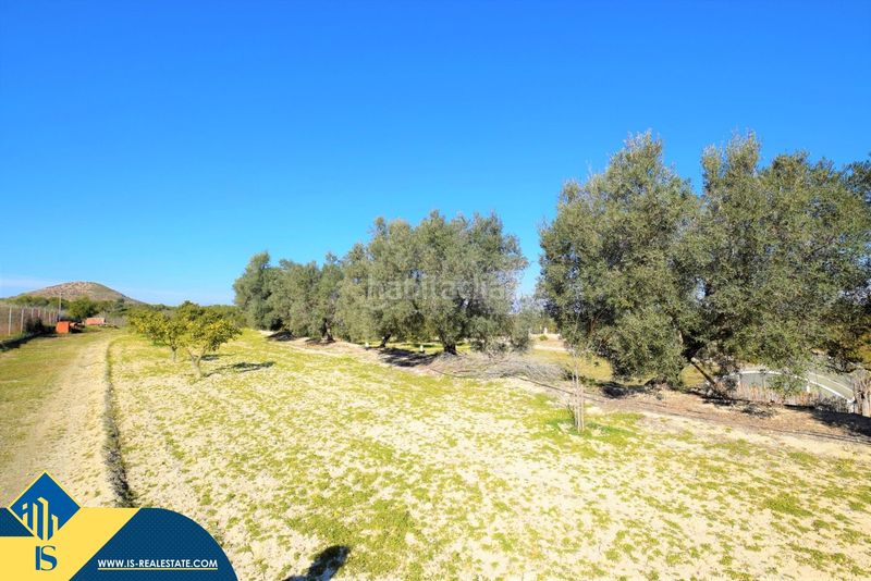 Foto 61a63e93-0620-43d9-b1c9-aa76bde14a37. Casa amb piscina a Pueblo Lucero Rojales