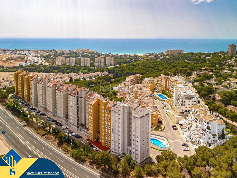 Foto 7556f89f-d8ca-4985-ba09-da36b9471571. Pis a Campoamor Orihuela