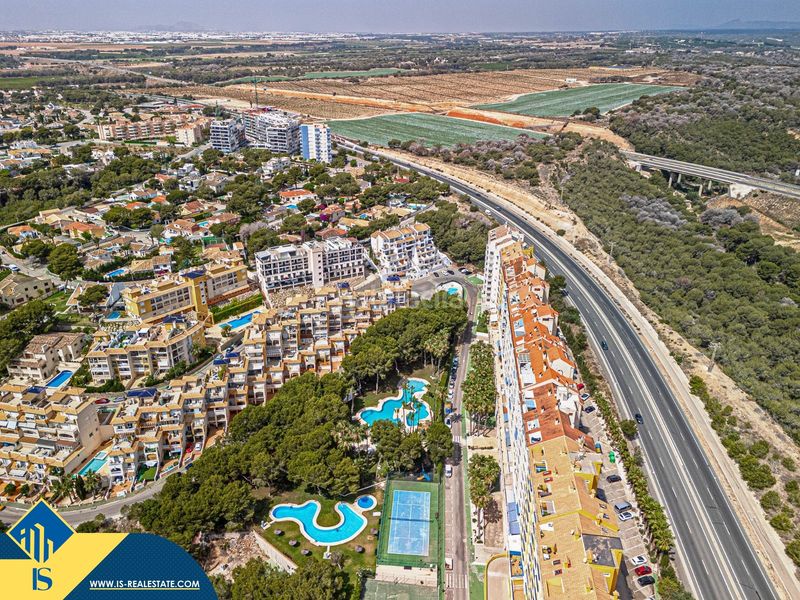 Foto 8e73c576-020e-4602-a649-d86494bd0cf9. Pis a Campoamor Orihuela