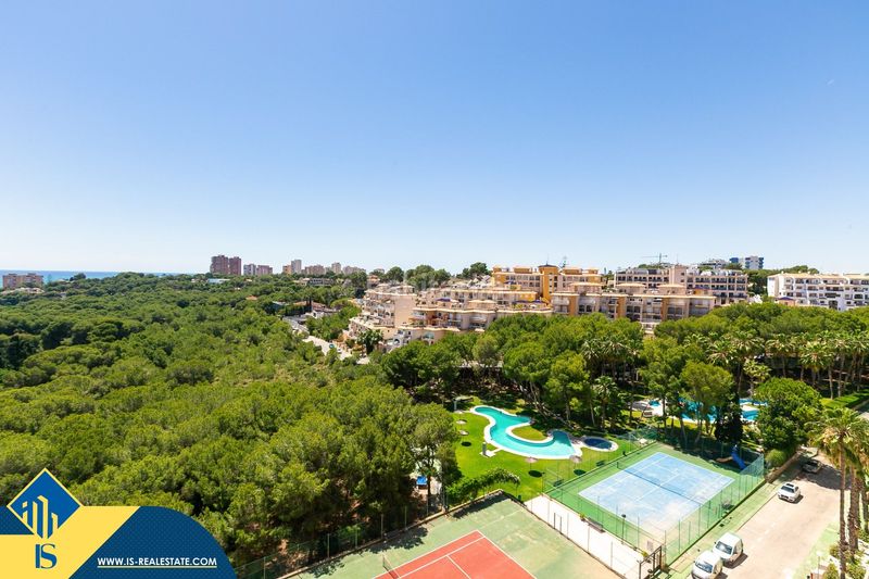 Foto ec8503bb-e30c-4141-87f7-98a3a12b9bc9. Pis a Campoamor Orihuela