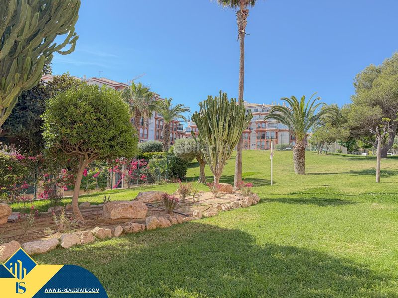 Foto 6827b96d-9a9f-47c7-bd81-1bd4dc10e3e6. Pis amb aparcament piscina a Aguas Nuevas Torrevieja