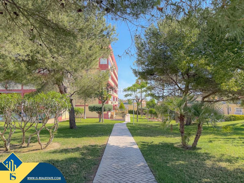 Foto 8a94b253-fb00-4790-a357-0aa105db7252. Pis amb aparcament piscina a Aguas Nuevas Torrevieja