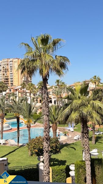 Foto 59bd248a-342d-4ce0-a3e4-366df36197a7. Pis amb piscina a Zona los Frutales Torrevieja