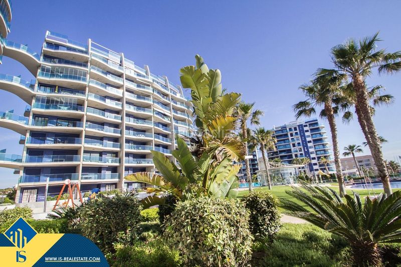 Foto d7f8b338-8096-4740-97ca-9bbf149f2f85. Àtic amb aparcament piscina a Punta Prima Torrevieja