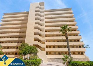 Appartement in Cabo Cervera. Apartamento con terraza en la provincia de alicante, en torrevie