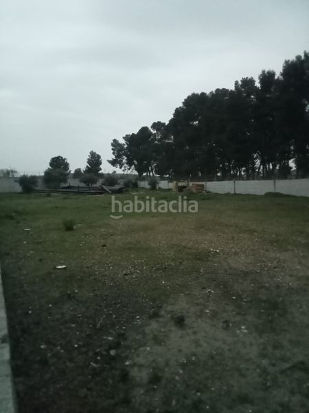 Foto 97537598-02e0-42b9-b411-e920dcd5d25f. Solar industrial a Vergel-Las Olivas Aranjuez