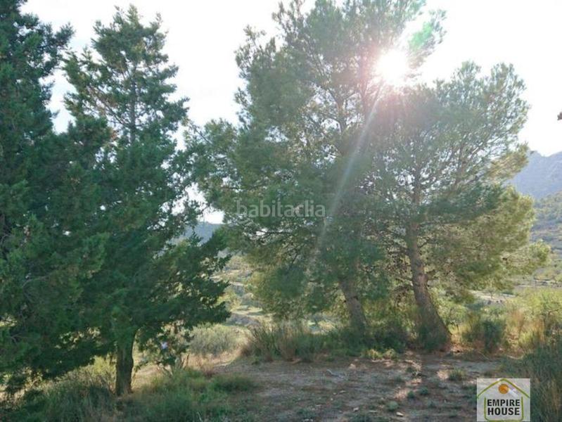 Foto 37590e92-cd0f-4393-8816-e679569ab3b0. Country house in partida figueret 2 in Relleu