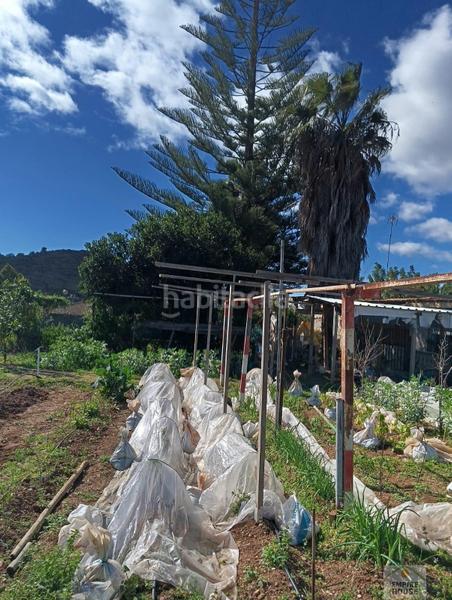 Foto 093a859c-b736-41a0-87dc-0eb589ae7e61. Chalet alfarpchalet en Alfarb