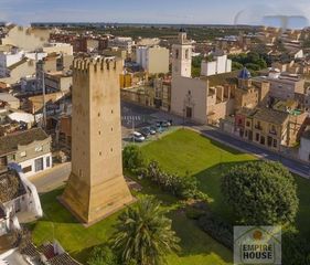 Lloguer Pis a Almussafes. Almussafespiso