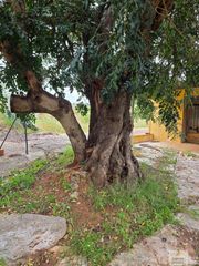 Terreno residencial en Alberic. Albericterreno