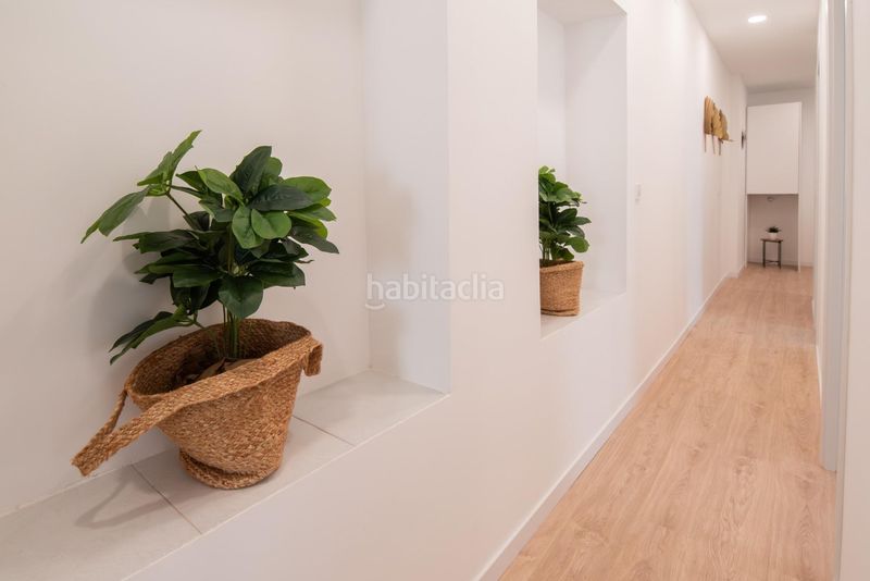 Foto ef610037-55ad-4167-ae19-8dbfe0e4e0c5. Pis a Centro Histórico Cádiz