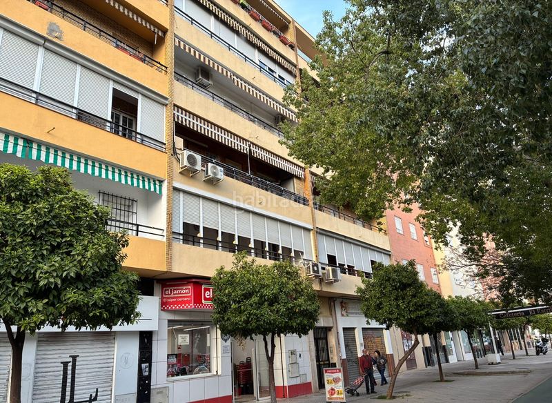 Foto b7aa6924-3255-40a0-b6dd-a08f2053ab58. Pis a Parque Atlántico- San Matías Sevilla