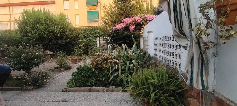 Foto 1fae1da8-8414-4592-9fbd-c445e93371d1. House in calle doctor 14 in Centro ciudad Linares