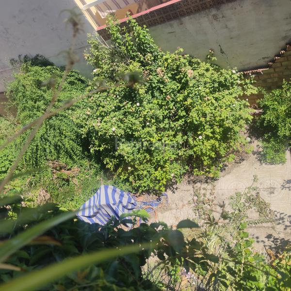 Foto de4bde03-c494-4209-a8bf-3125b2073e15. Maison avec chauffage dans Zona Hospital Linares