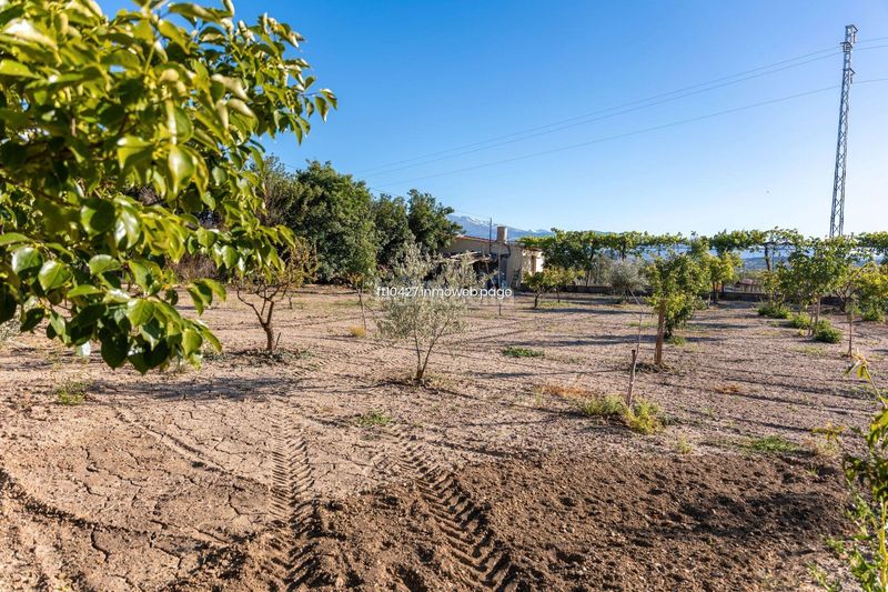 Foto c5d4a0b1-1e5b-4e3a-8d89-0d40fa2e208b. Chalet avec parking piscine dans Guadix