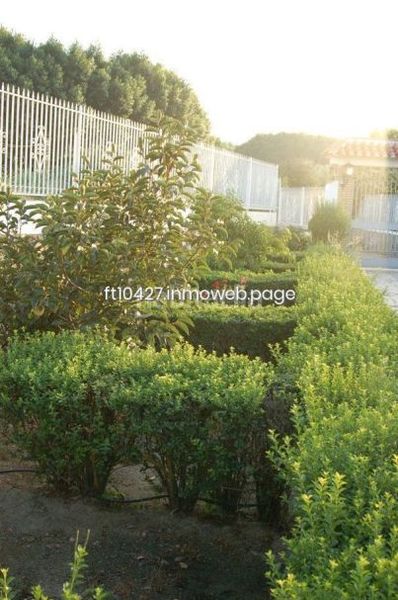 Foto 41c9a3d2-5e54-41eb-b309-80bc5e50d539. Xalet amb aparcament piscina a Guadix