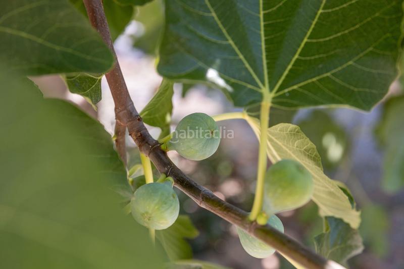 Foto 451c71a6-2682-448a-888c-0da47b6d28a6. Casa a almería 32 a Guadix