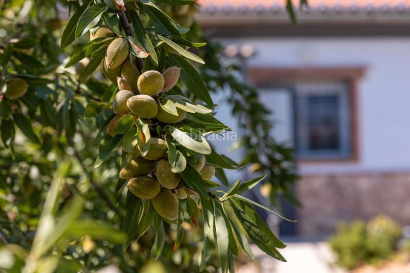 Foto 6b228fb3-0f36-4d7c-9873-79a2997ad67a. Casa a almería 32 a Guadix